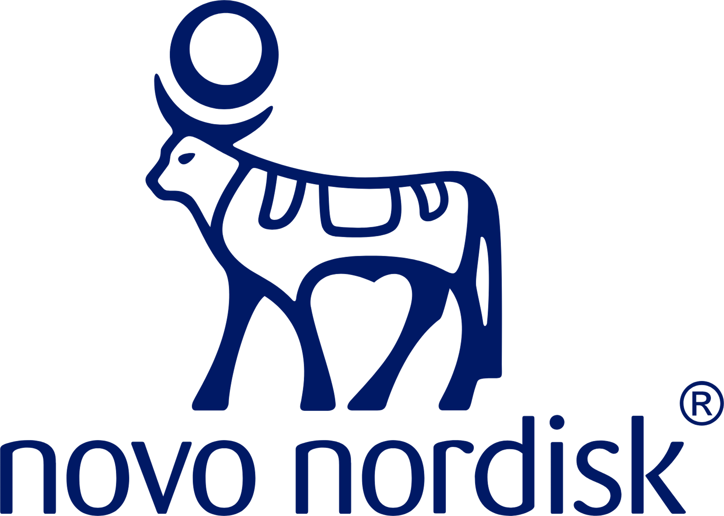 novo big logo